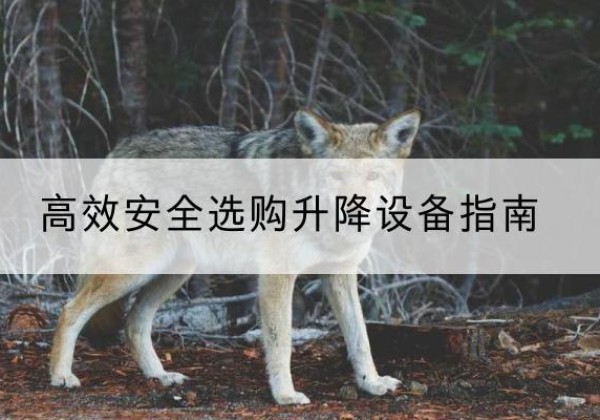 永修升降货梯厂家推荐-*安全选购升降设备指南