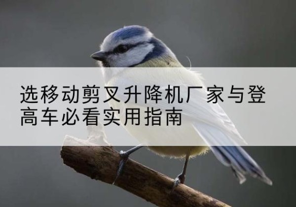 永修电动升降机厂家-选移动剪叉升降机厂家与登高车必看实用指南