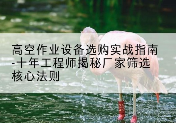 永修剪叉式升降机厂家-高空作业设备选购实战指南-十年工程师揭秘厂家筛选核心法则